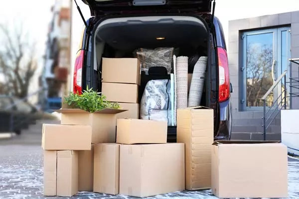 Entreprise pour transporter des plantes, vases et grands tapis pour un événement dans le sud de la France, Villefranche-sur-Saône, TRANSPORTS AULIEN